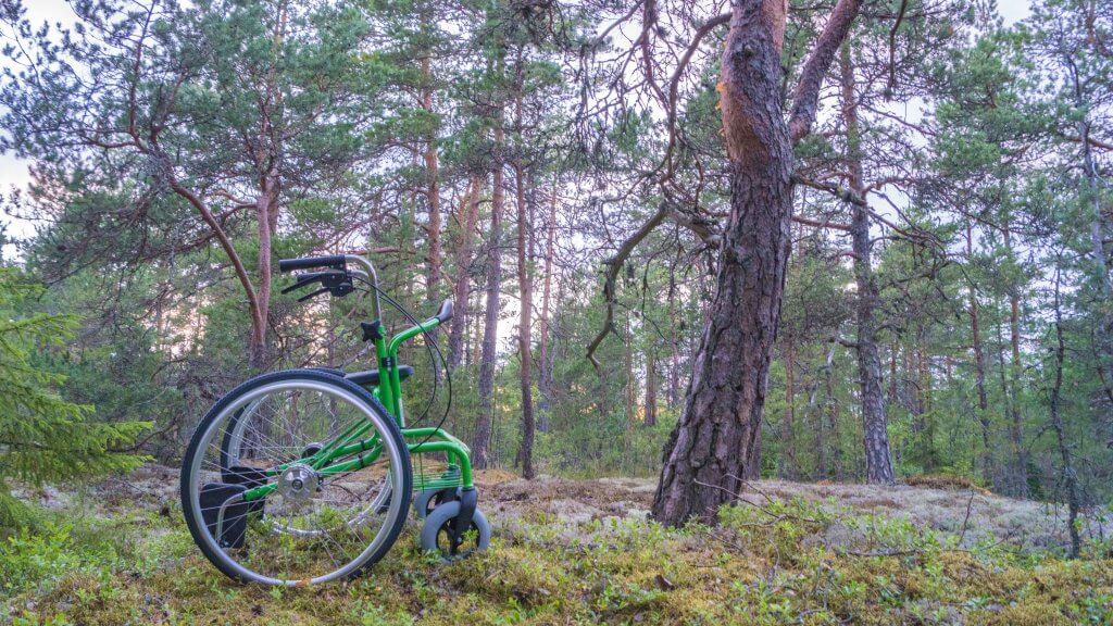 Kombi innen – aussen Rollator für den Alltag Hilfsmittel für MS ALS Wheellator grün Sicher im Alltag Hilfsmittel für Senioren & Menschen mit Unannehmlichkeiten.